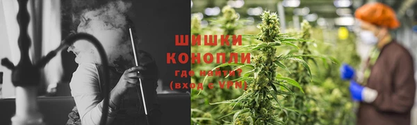 ПСИЛОЦИБИНОВЫЕ ГРИБЫ Арсеньев