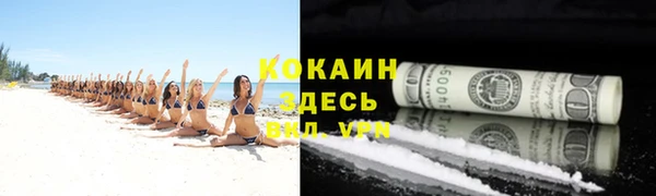 ПСИЛОЦИБИНОВЫЕ ГРИБЫ Арсеньев