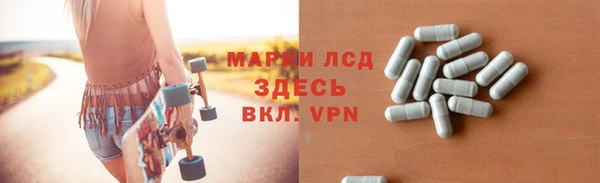 ПСИЛОЦИБИНОВЫЕ ГРИБЫ Арсеньев