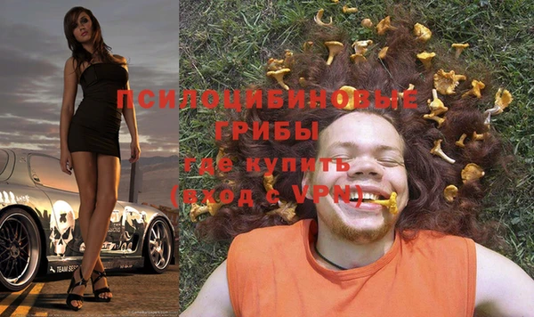 ПСИЛОЦИБИНОВЫЕ ГРИБЫ Арсеньев