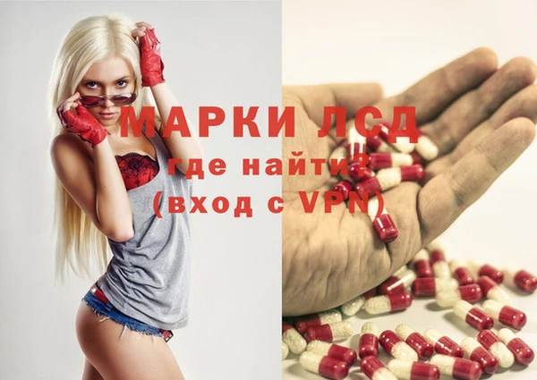 ПСИЛОЦИБИНОВЫЕ ГРИБЫ Арсеньев
