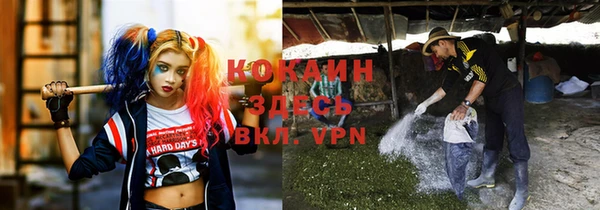 ПСИЛОЦИБИНОВЫЕ ГРИБЫ Арсеньев