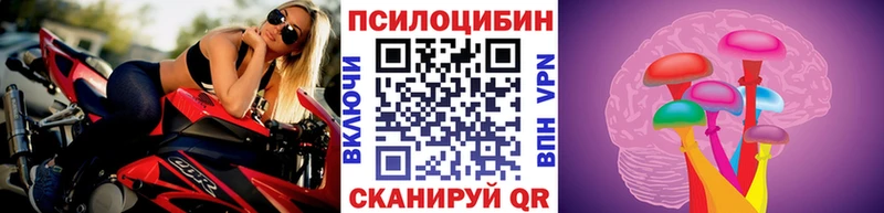 Псилоцибиновые грибы Psilocybine cubensis  Павлово 